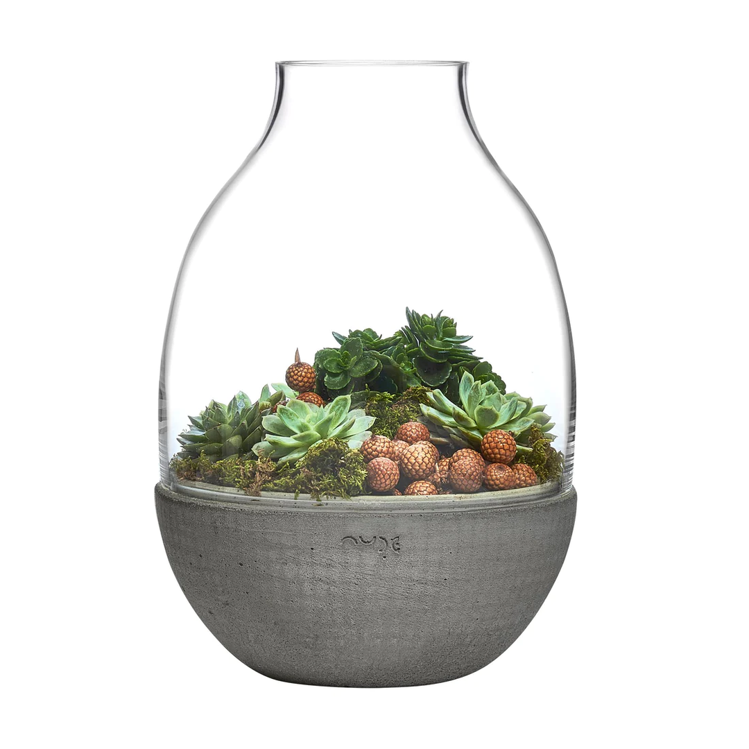 Nude Eden Terrarium with Molded Concrete Base 340mm Clear - Premium Terrarium from Pasabahce - Just $1105! 