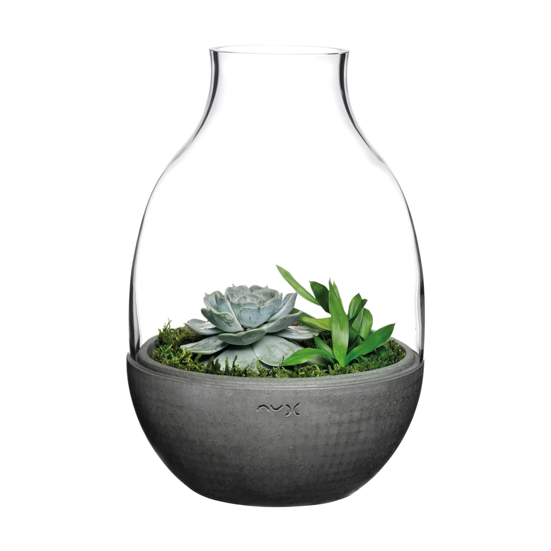 Nude Eden Terrarium with Molded Concrete Base 340mm Clear - Premium Terrarium from Pasabahce - Just $1105! 