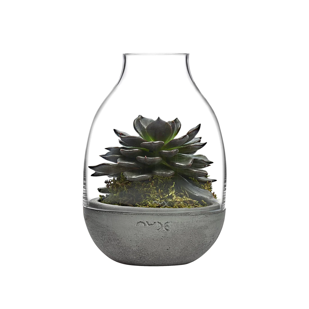 Nude Essentials Eden Mini Terrarium with Molded Concrete Base Clear - Premium Terrarium from Pasabahce - Just $515! 