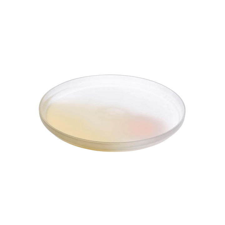 Nude Essentials Pigmento Serving Dish 278mm Pink Sprayed Pink and Beige - Premium Plate from Pasabahce - Just $380! 