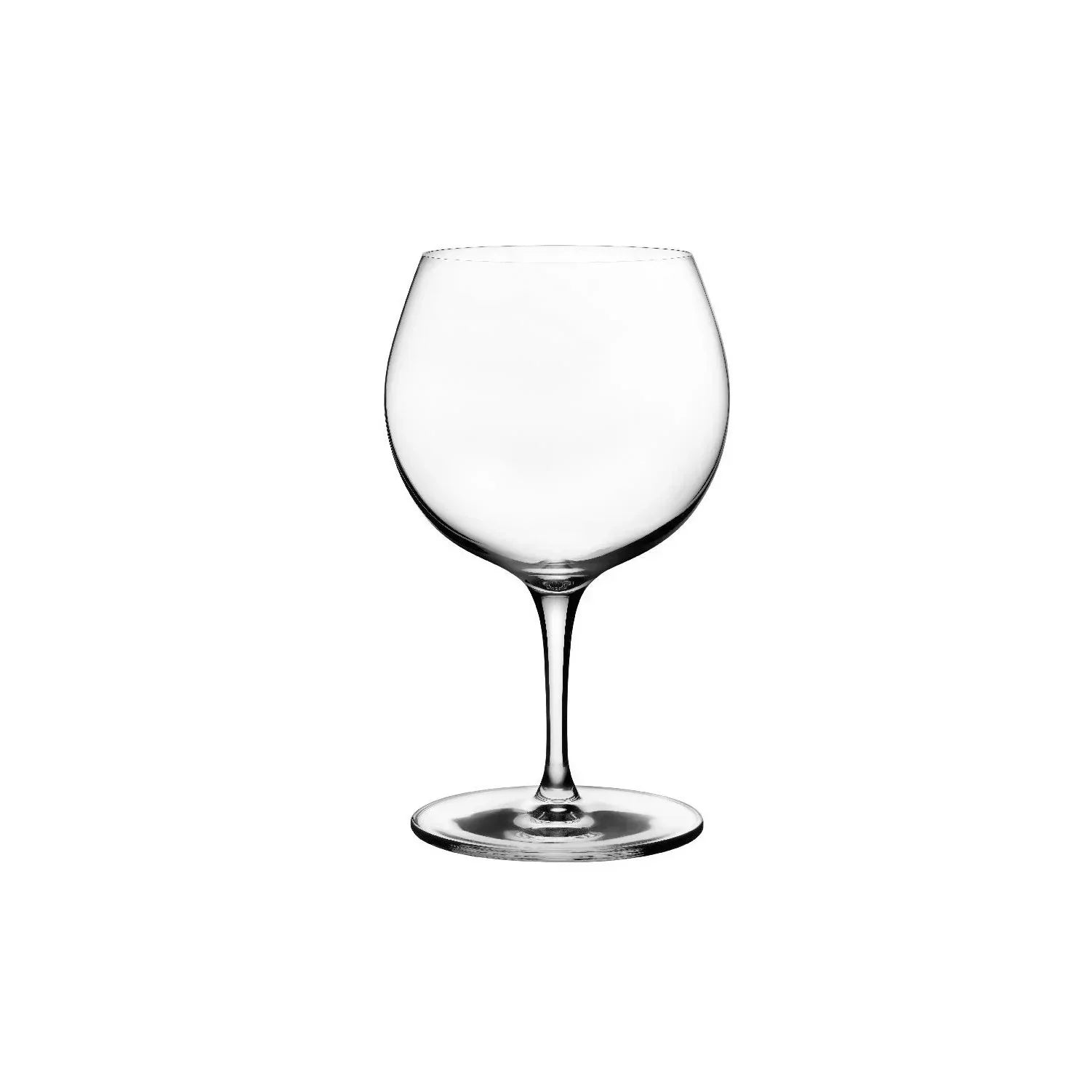 Nude Essentials Vintage Set of 6pcs Cocktail Stemware 585cc Clear - Premium  from Nude Glass - Just $220! 