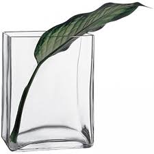 Pasabahce Flora Square Vase Clear - Premium Vase from Pasabahce Essentials - Just $55! 