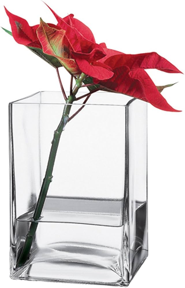 Pasabahce Flora Square Vase Clear - Premium Vase from Pasabahce Essentials - Just $55! 