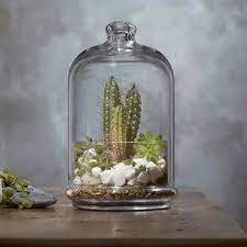 Pasabahce Patisserie Bowl with Dome 505cc Clear - Premium  from Pasabahce Essentials - Just $25! 