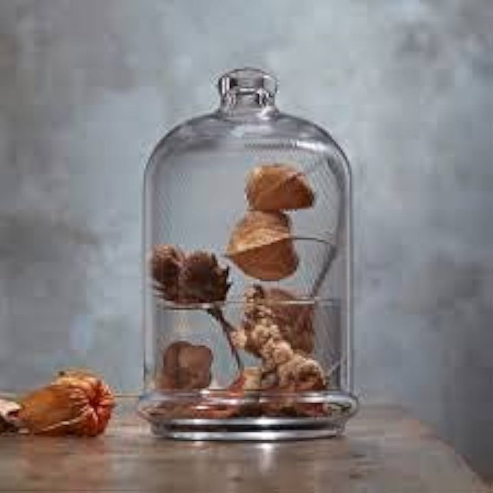 Pasabahce Patisserie Bowl with Dome 505cc Clear - Premium  from Pasabahce Essentials - Just $25! 