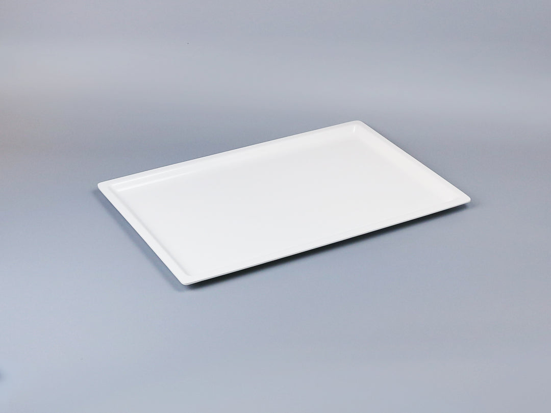Efay Gastronorm 1/1 America 20mm Ivory - Premium Tray from Efay - Just $60! 